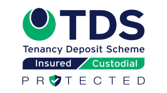 TDS promotional image